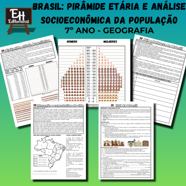 Brasil: pirâmide etária e análise socioeconômica da população